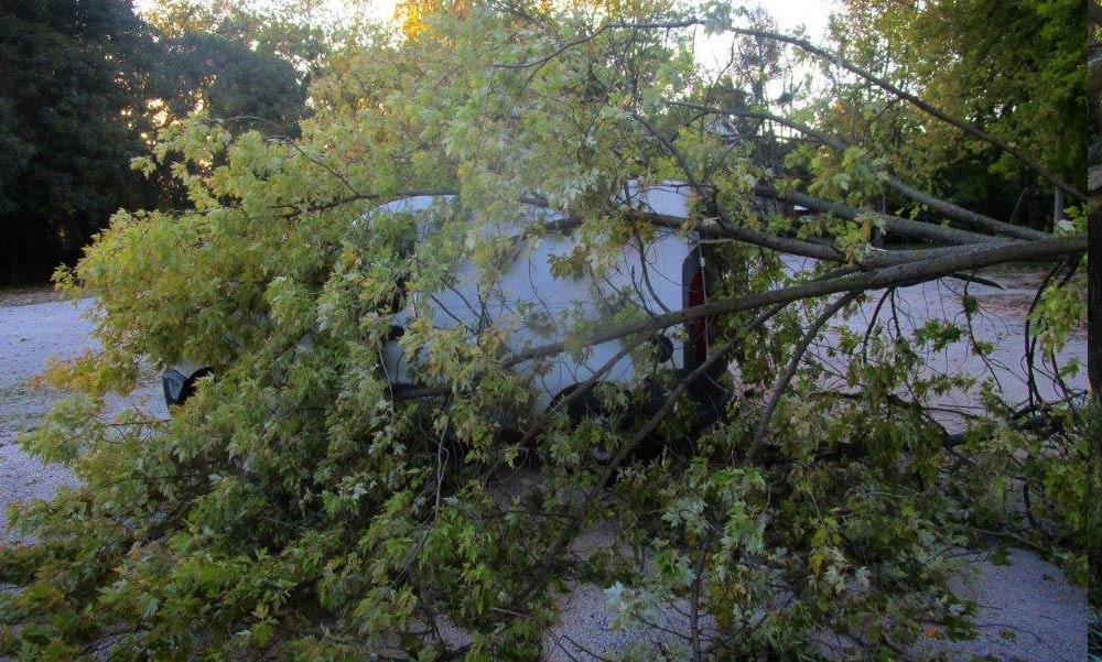 Szélvihar: rádőlt egy fa egy mozgó autóra – meghalt a sofőr
