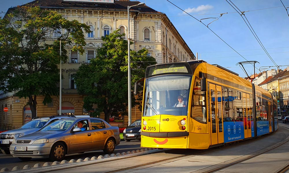 Bozótvágóval sebesítettek meg egy tanárt a villamoson