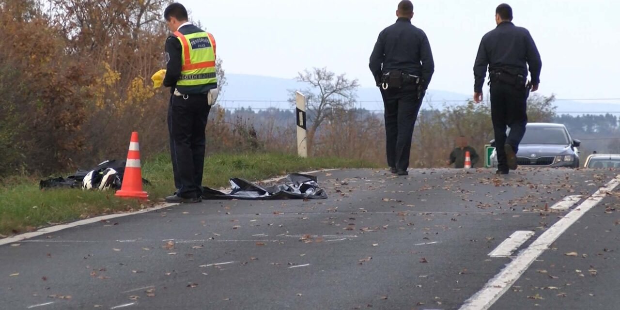 Halálos motorbaleset: szarvassal ütközött egy házaspár, az állat lerúgta az utasokat a járműről