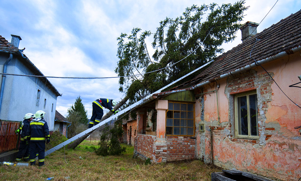 Vihar: tetőket bontott meg, fákat döntött ki és kéményeket rongált meg a szél
