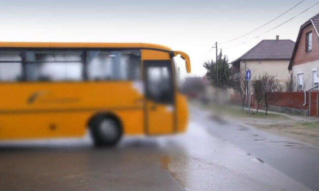 Idióta buszsofőr: Egész úton telefonált, fél kézzel vezetett, az utasok életével játszott