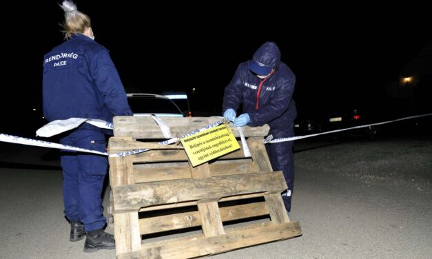 Sitteszsákban találták meg a csecsemő csontjait Pest megyében