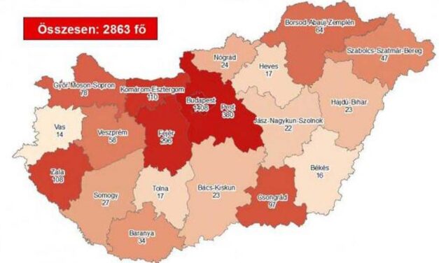 11 beteg halt meg koronavírusban az elmúlt napon Magyarországon
