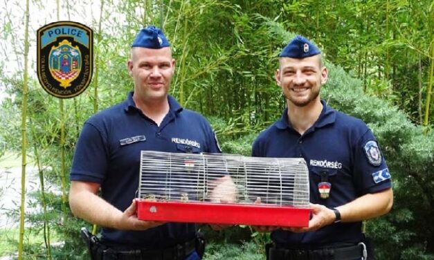 Bajba kerültek a kacsák, riasztották a rendőröket