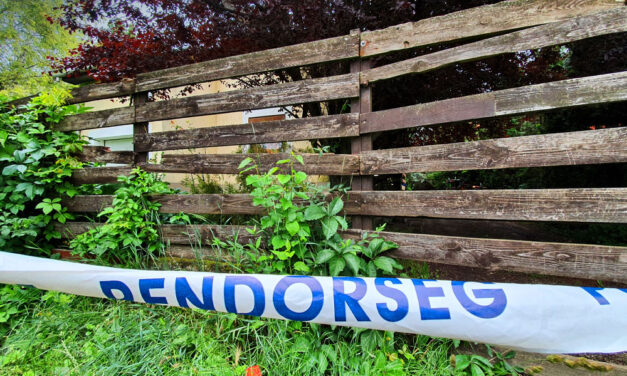 Horror Pátyon: Fekete zsákokban hordhatta haza a kórboncnok a testrészeket, a környéket ellepték a rendőrök.