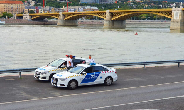 Dunába akart ugrani egy nő a Margit hídról, másnap egy újpalotai asszony akart kiugrani a kilencedikről, de előtte ledobta a kutyáját az erkélyről