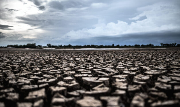 Mentőövet dobnak az aszály miatt bajba jutott gazdának – Itt vannak a részletek!
