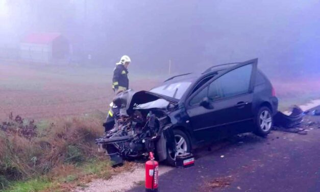 Villás targoncának csapódott egy autó Sülysápnál, meghalt egy gyömrői férfi