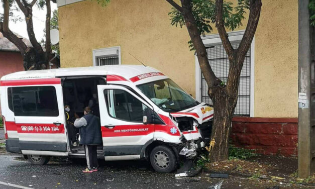 Benézte az elsőbbségadó táblát a toyotás hölgy, emiatt fának csapódott a betegszállító autó: a sofőrt kórházba szállították