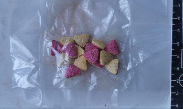 Szentendrén csaptak le a zsaruk – saját otthonában fogták el a drogterjesztőt és bűntársát! VIDEÓVAL