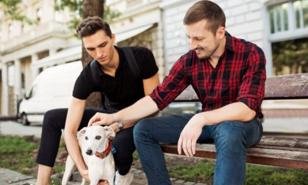 Bekeményített Terézváros polgármestere: 50 ezres büntetést szabnak ki a gazdira, aki az utcán hagyja a kutyakakit