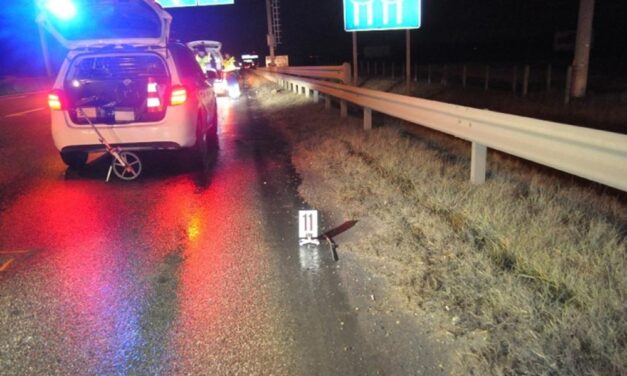 Drogot találtak a Tankcsapda koncert után tragédiát okozó fiú szervezetében – cserbenhagyta áldozatát az autópályán