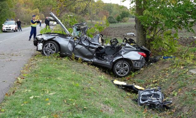 “Sajnos a búcsúztatójából már nem lesz semmi, pedig megérdemelte volna” – nyugdíjas éveire készült a gyomaendrődi baleset egyik áldozata, M. Gábor 3 rokonával együtt halt meg az ütközésben