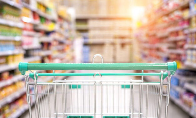 Hamvába holt a nagy terv – már a kijáratnál lekapcsolták azokat a tolvajokat, akik a telepakolt bevásárlókocsit fizetés nélkül akarták kitolni az áruházból – VIDEÓVAL