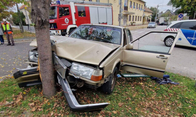 Vezetés közben kapott szívrohamot a Volvo sofőrje, a fa állította meg az autót Diósdon – HELYSZÍNI FOTÓKKAL