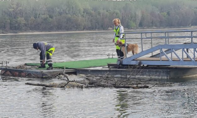 A Dunába rejtette felesége holttestének egy részét az egykori acélmágnás: búvárokkal és tetemkereső kutyákkal keresték Andrea földi maradványait
