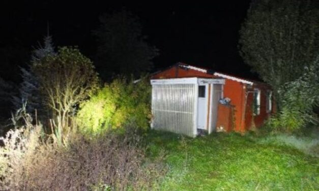 Újszülött csecsemőjével végzett egy 4 gyermekes anya Somogyban, a gyermek halálát bántalmazás okozta