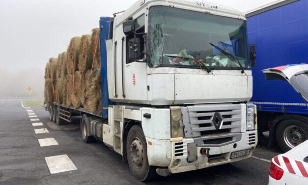 Betört szélvédő, szivaccsal kitámasztott lámpák, lógó bálák – eljárás indult a sofőr ellen