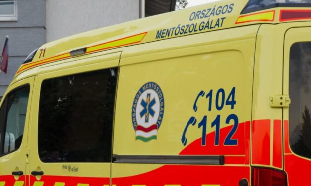 Botond kis híján vízbe fulladt, a cukorbeteg Csongor sokkot kapott – mindkét fiún ugyanaz a mentős segített