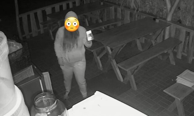 Kaját lopott éjszaka a pizzéria hűtőjéből a fiatal lány, Facebookon keresi a tulajdonos a tolvajt