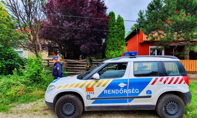 “Beszéltem hozzá, de ő nem válaszolt” – túl van az életveszélyen az a kislány, akire álmában, saját anyja támadt rá, Fannika elhagyhatta az intenzív osztályt