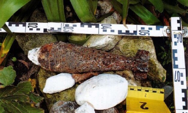 A kábítószergyanús anyagok lefoglalása után jött a meglepetés: robbanószereket is találtak egy dömsödi kertben a rendőrök