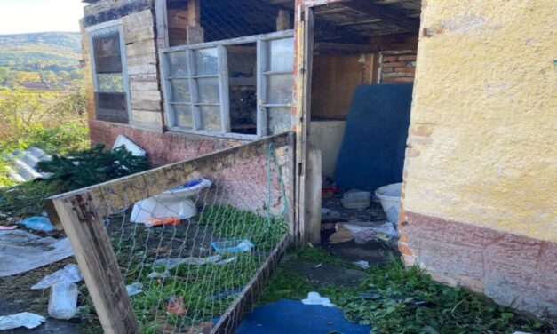 Még a nyuszit is ellopta a mátraverebélyi betörő, aki több helyi ház portájára is betört