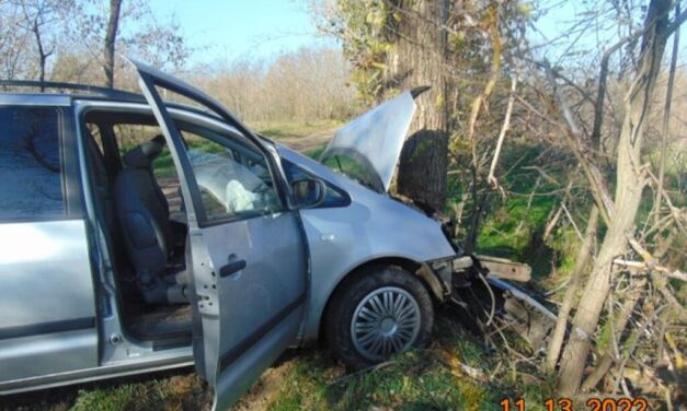 Fának ütközött az embercsempész, fejvesztve menekült a helyszínről