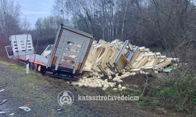 Utolérte a szapora a kamionsofőrt, szörnyethalt a vétlen autós Szabolcsban