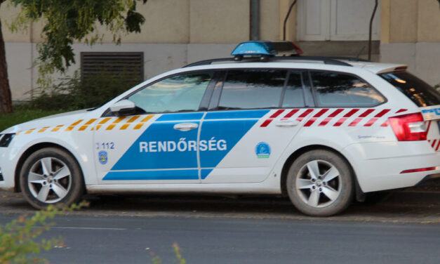 Forrongó indulatok: kapával támadt két emberre és egy kutyára egy férfi Budapesten