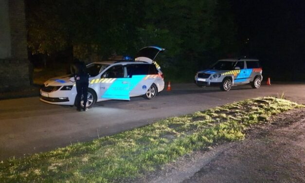 Kegyetlen anya! Végezni akart magával, ezért szándékosan nekihajtott a szemből jövő autónak, öt éves kisfiát is a halálba akarta vinni