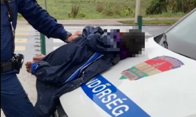 Fiatalokból álló bűnbandát kapcsoltak le a gödöllői rendőrök, hárman közülük még 18 évesek sincsenek