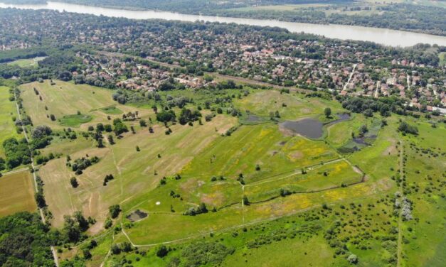 Harmadáron adta el a házát és nem is emlékezett rá. A Pest Megyei Főügyészség szeretné visszaszerezni egy idős gödi asszony ingatlanát