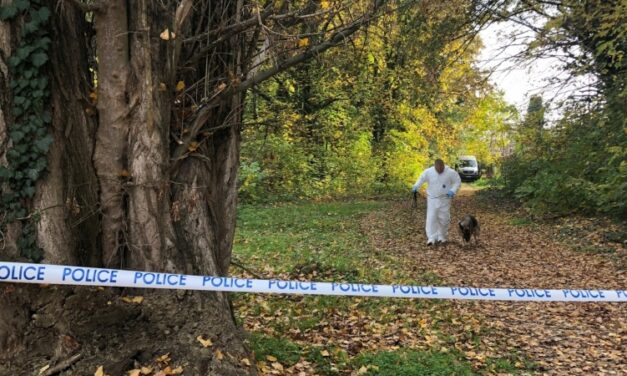 Összeégett holttestet találtak az erdőben Mezőhegyesen, egy fiatal férfi olthatta ki az életét, a rendőrök már el is fogták