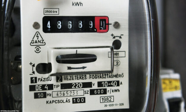 A jogszabályok csapdájában – nem tudják kitenni a milliókkal tartozó albérlőket egy budapesti lakásból. Pörkölttel és virágcserepekkel dobálták meg az elektromos szolgáltató embereit