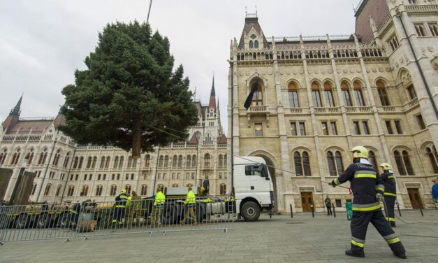 Dugókra kell számítani, holnap érkezik az ország karácsonyfája a Kossuth térre