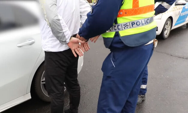 Légpuskával végezhetett szomszédja kutyájával a 16 éves fiú, elfogták a rendőrök, de mindent tagad a fiatal