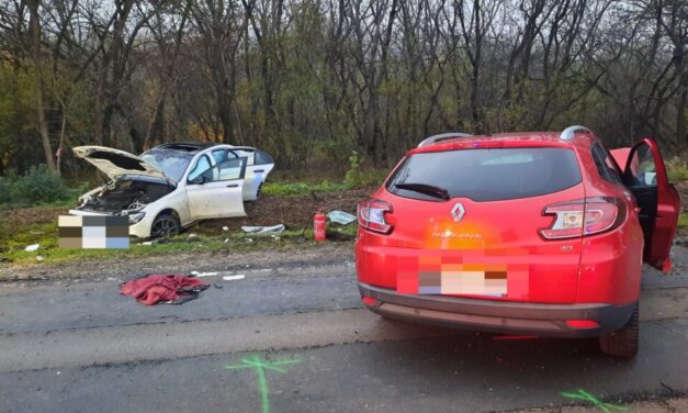 “Ez elfogadhatatlan!” Forrnak az indulatok a martfűi tragédia után – az arra járó autósok felháborító közönyéről írnak a tűzoltók