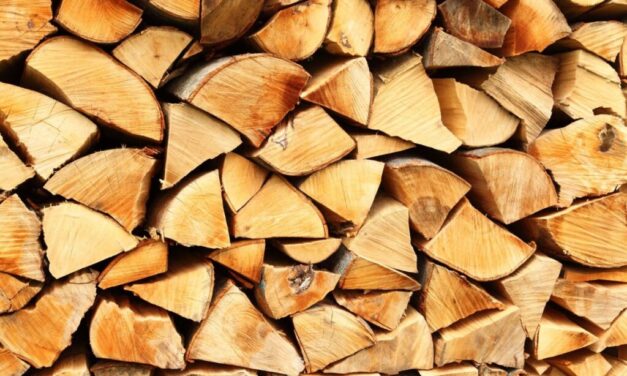 Ráfázott a kereskedő – át akarta verni a vásárlókat és nem tudta igazolni a tűzifa eredetét. Milliós birságra számíthat