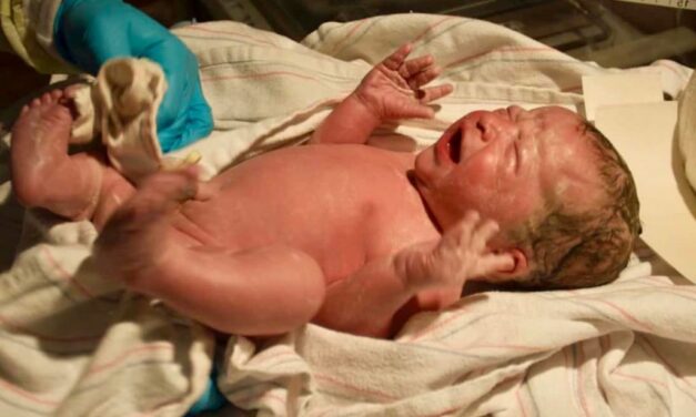 Halott újszülöttet találtak Daruszentmiklóson, az anya eltitkolhatta a terhességet