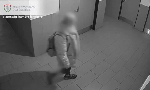 Iskolás gyereket károsított meg a sorozatbetörő, hosszú ideig fegyházban marasztalnák