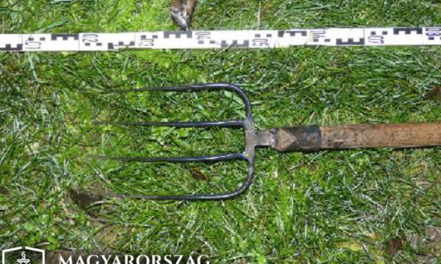 „Nem megyek veletek, dögöljetek meg” – kiabálta a rendőröknek a vasvillát lóbáló férfi