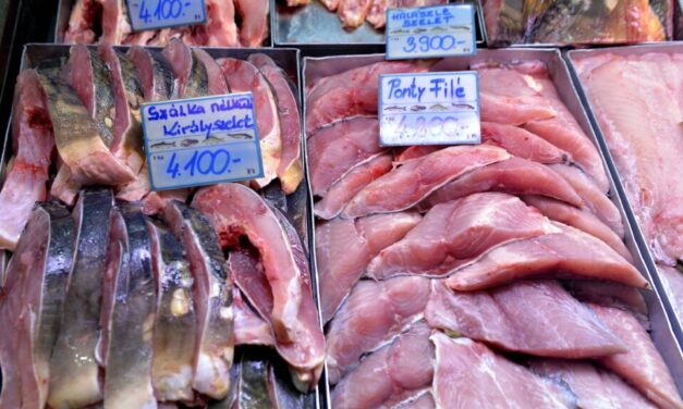 Agrárminiszter: „Mégis lesz elég magyar hal az ünnepi asztalokra”