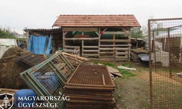 Elképesztő bűnlajstrom: dárdával szúrta le a kutyát a kaposvári remete, mert ételt vett el az asztaláról. Később egy kecskén állt bosszút és élettársát is bántalmazta