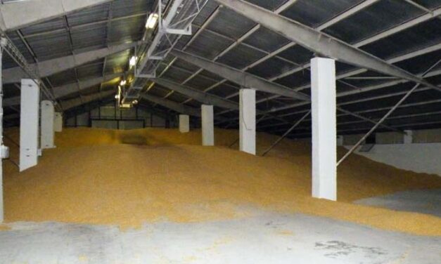 Még mindig szökésben a hírhedt magyar “Keresztanya” – az elbűvölő nő és bűntársai a bankoknak 400 milliós, míg a kukoricacsalással közel 250 milliós kárt okoztak