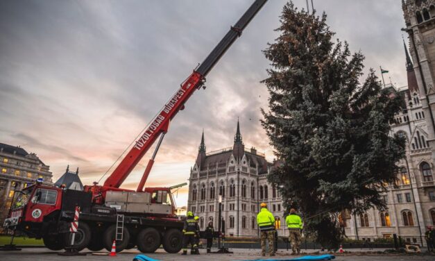 Megható ajándékot kapott Orbán Viktortól az az idős házaspár, akik 42 éve nevelt fenyőjüket ajánlották fel az ország karácsonyfájának
