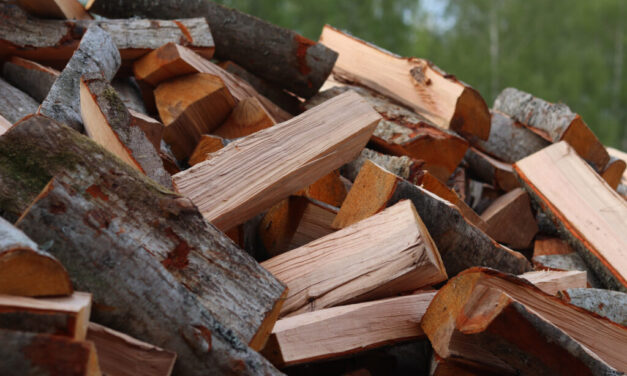 Lefagyott a tűzifaprogram a Pilisben – jönnek a fagyok, de még több mint 2200-an szerepelnek a pilisszentkereszti várólistán