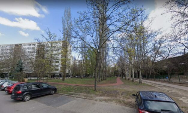 Tömeges fakivágás miatt tiltakoznak kedden délután Újbudán