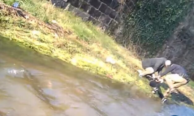 Patakmederbe bújt a rendőrök elől az Érd környékén garázdálkodó férfi, de megtalálták és elfogták a rendőrök – VIDEÓ