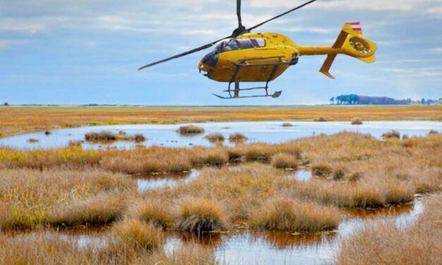 Bravúros életmentés helikopterrel, a mocsárba ragadt férfit elképesztő módon szabadították ki – VIDEÓ